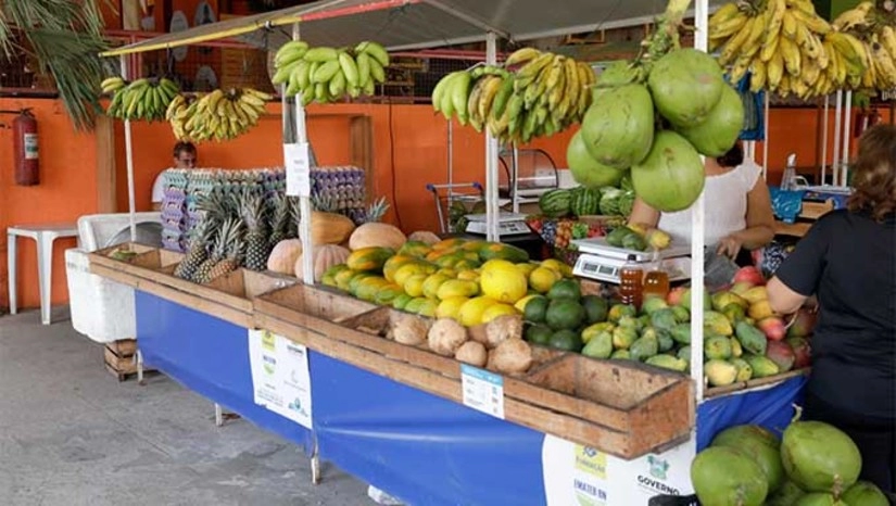 O protagonismo feminino na Agricultura Familiar e Economia do